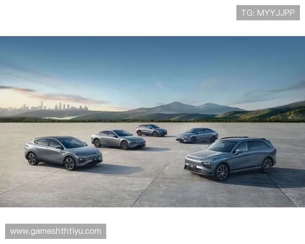 华体会平台网赞助的国米带来全新合作发展策略分析