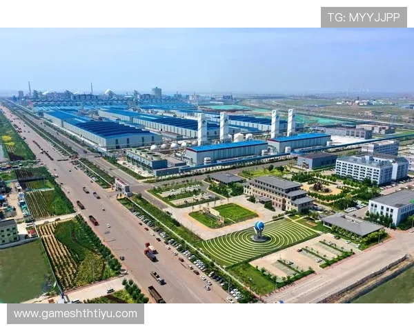 探索华体会体育在线登录的多样化功能与服务优势